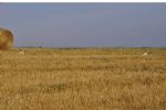 image01